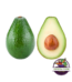 Avokado