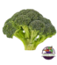 Brokoli