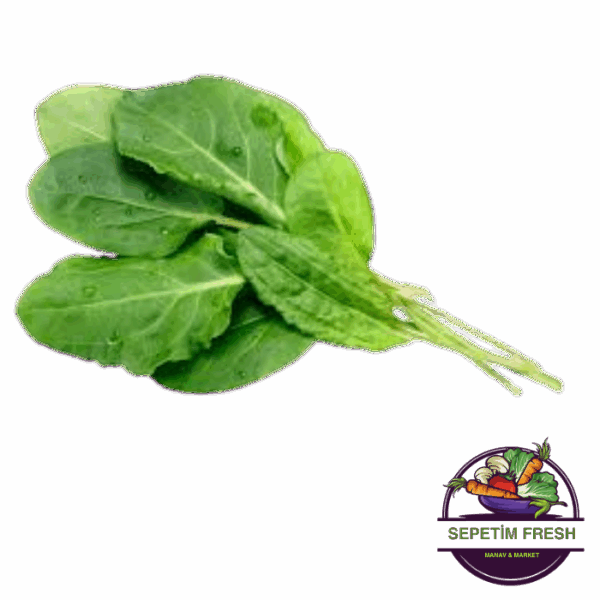Kuzu Kulağı
