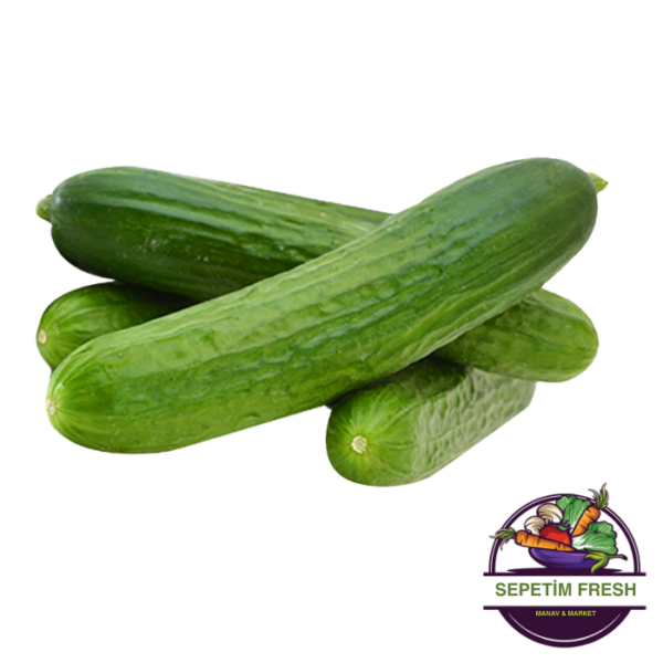 Salatalık