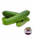 Salatalık