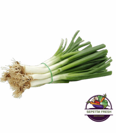 Taze Soğan